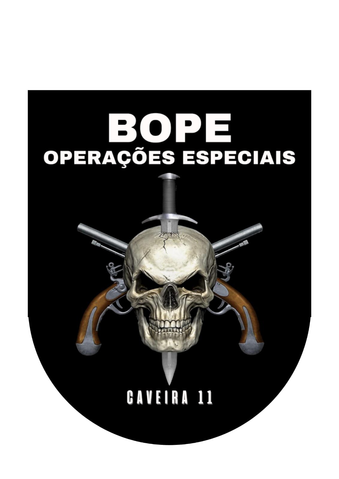 Official Representation